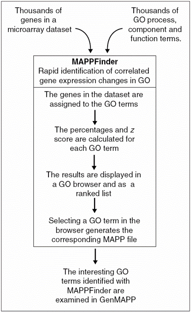 mappfinder.gif